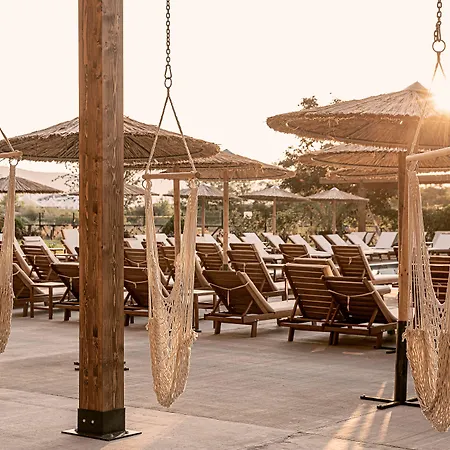 Sunny Club - Adults Only #youthfulvibes Σάνι Μπιτς